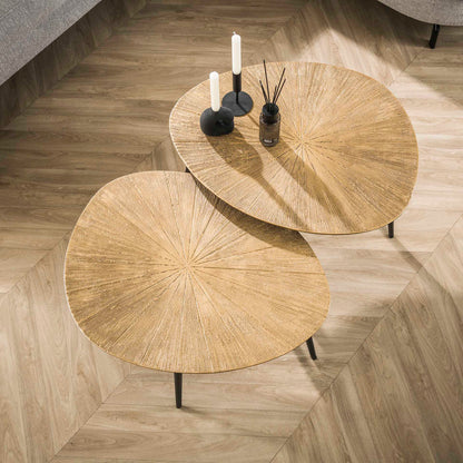 Salontafel Set - 2 stuks