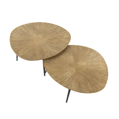 Salontafel Set - 2 stuks