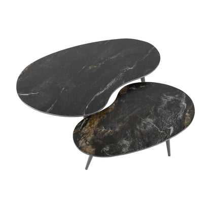 Salontafel Niervorm - Set van 2