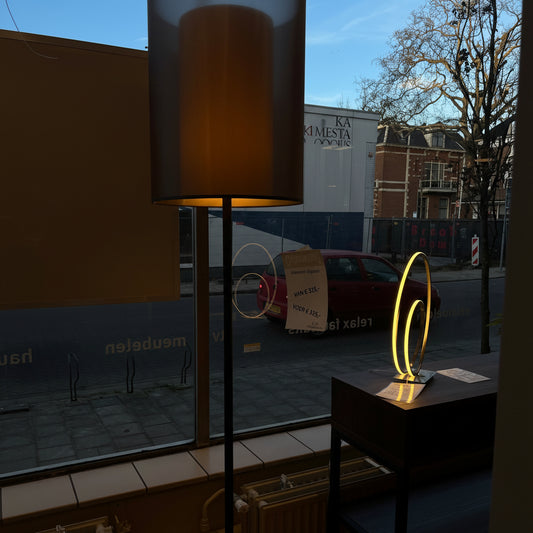 CLEARANCE floor lamp Organza